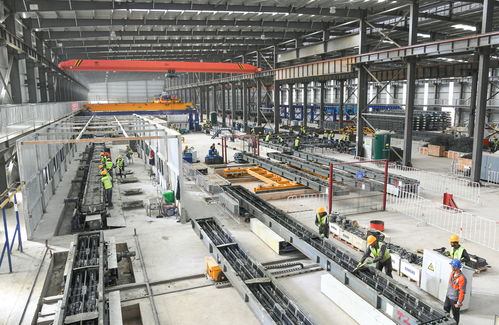 阿尔及利亚西部铁路矿业线项目轨道工程全面启动，打造区域经济新动脉